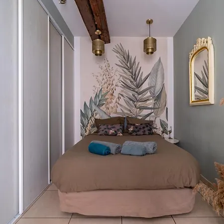 L'ecrin Luxuriant - Halles & Cathedrale - Nuit A * Nîmes