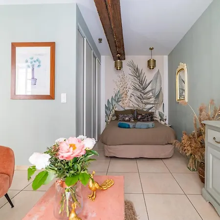 L'ecrin Luxuriant - Halles & Cathedrale - Nuit A *