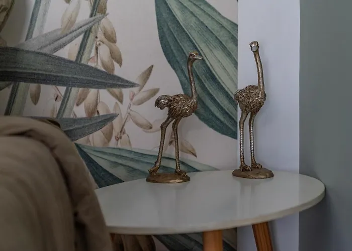 L'ecrin Luxuriant - Halles & Cathedrale - Nuit A * Ним